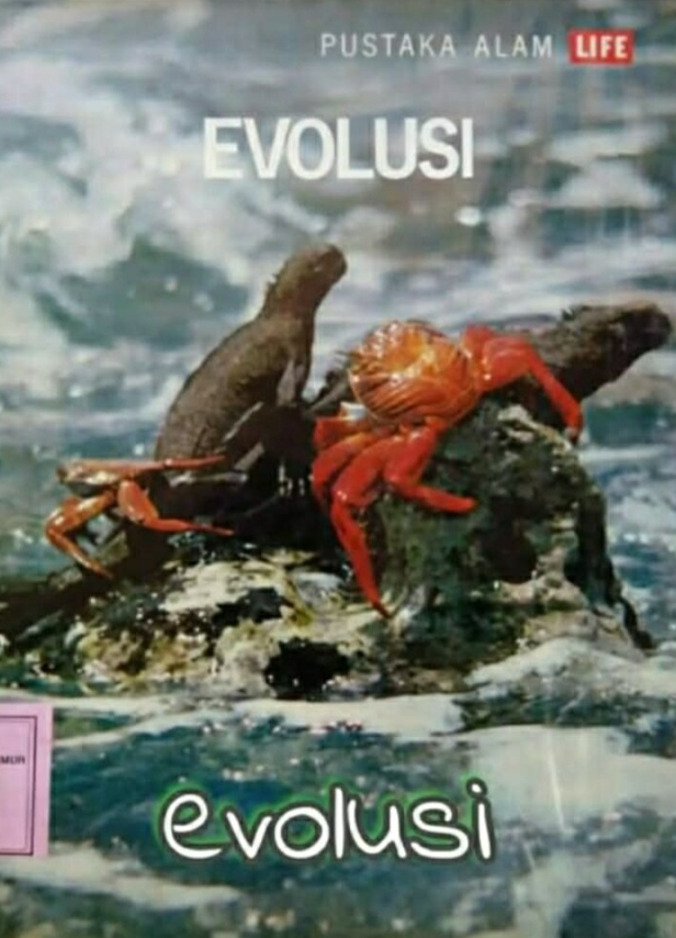 Evolusi